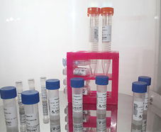 引進(jìn)美國生物工程前沿技術(shù)，打造高科技生物制品研發(fā)新生態(tài)