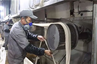 創(chuàng)新驅(qū)動，綠色賦能——阿拉爾中泰紡織科技公司毛型纖維新產(chǎn)品成功下線