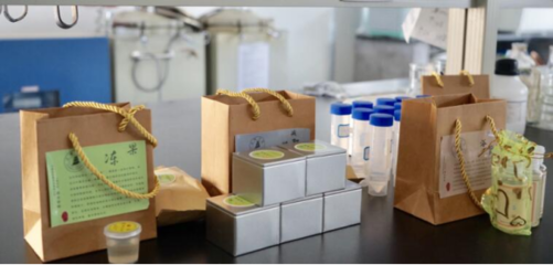 科技下鄉(xiāng) 生物科技為鄉(xiāng)村振興插上智慧“翅膀”