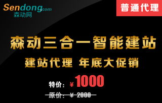 企業(yè)網(wǎng)站建設(shè)指南 森動(dòng)網(wǎng)打造專業(yè)高效的在線展示平臺(tái)